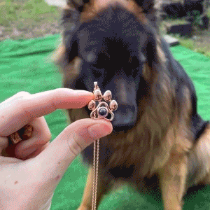 Personalized Pet Photo Necklace - SHEMEDIY
